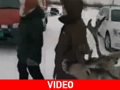 Τετράποδος «Καζανόβας»