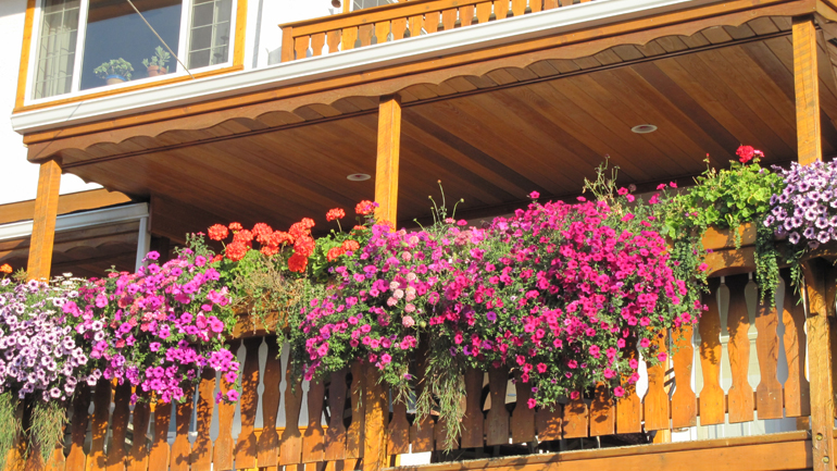 Δ. Χανίων: Διαγωνισμός για το πιο «πράσινο μπαλκόνι»