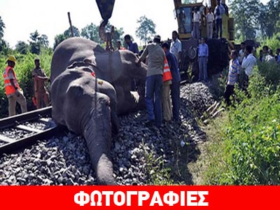 Ινδία: Σύγκρουση τρένου με ελέφαντα