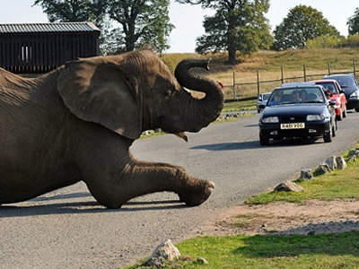 Επέλεξε να κοιμηθεί στη… μέση του δρόμου! Επέλεξε να κοιμηθεί στη… μέση του δρόμου!