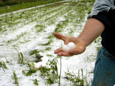 ΕΛΓΑ: Ξεκινά το πρόγραμμα Χαλαζικής Προστασίας