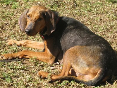 Μια ταλαιπωρημένη ψυχούλα ζητά αγάπη