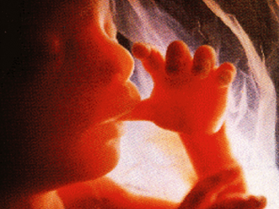 Χιλιάδες γονιμοποιημένα έμβρυα πρόκειται να θανατωθούν