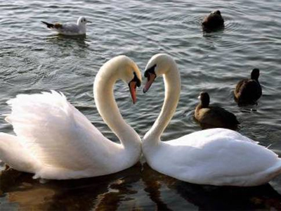 Εθισμένοι στον… έρωτα!