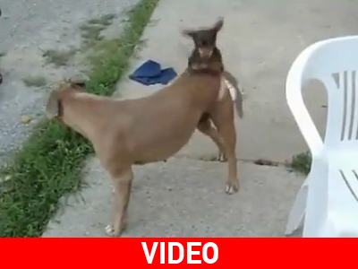 Το μέγεθος δεν… μετράει!