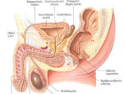 SEXUALITY: Ο χαλινός φεύγει χωρίς σεξ;