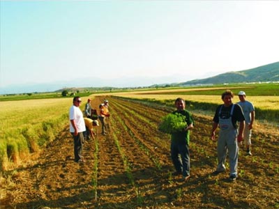 ΕΛΓΑ: Παράταση για την ασφαλιστική εισφόρα του 2012 ΕΛΓΑ: Παράταση για την ασφαλιστική εισφόρα του 2012