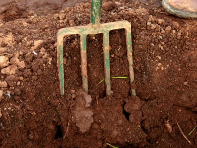 Έθαψε τον πατέρα του στον κήπο του σπιτιού του…