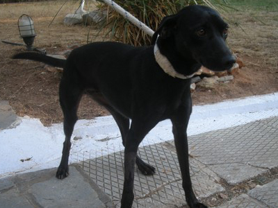 Εβελίνα η τσαχπίνα!