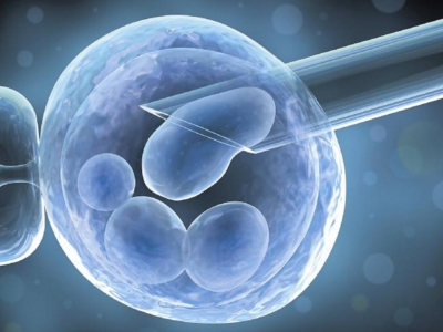 Ημερίδα για την εξωσωματική γονιμοποίηση στον Πειραιά