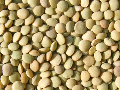 Ανάκληση επικίνδυνης φακής