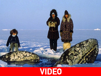 H συγκλονιστική διάσωση φαλαινών στην Αλάσκα γίνεται ταινία!