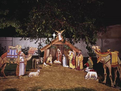 Οι γάιδαροι το έσκασαν από τη… φάτνη