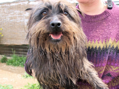 Αρούλης, ο μαχητής!