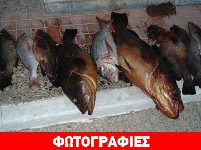 Η καλή ψαριά δεν τους βγήκε σε… καλό Η καλή ψαριά δεν τους βγήκε σε… καλό