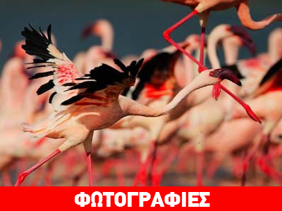 Ένα μοναδικό θέαμα…