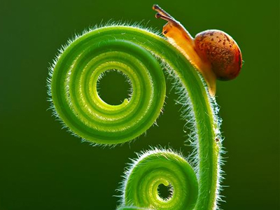 Οι καλύτερες φωτογραφίες του 2009