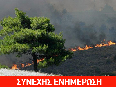 Απειλεί σπίτια η φωτιά στη Σαλαμίνα