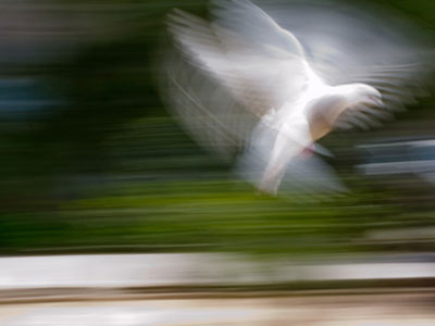 Φεστιβάλ αφηγήσεων: «Πες μου μια ιστορία»