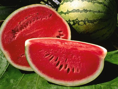 Πρόστιμα σε εξαγωγείς καρπουζιών