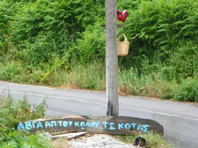 Πιο φρέσκα… δεν γίνεται!