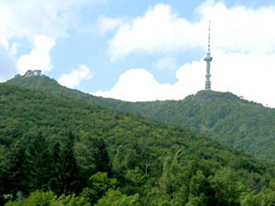 Zητούν να μπει σε ειδικό καθεστώς το όρος Βίτοσα