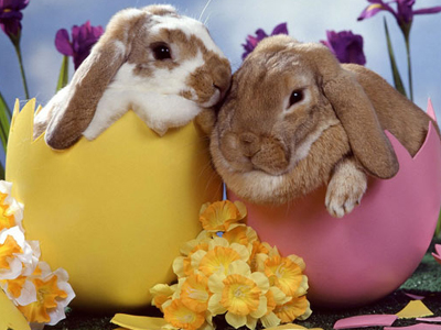 Το προτεινόμενο εορταστικό ωράριο