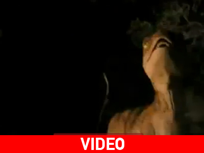 The Dinosaur Project