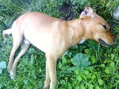 Πέταξαν «φόλες» σε κεντρικές πλατείες