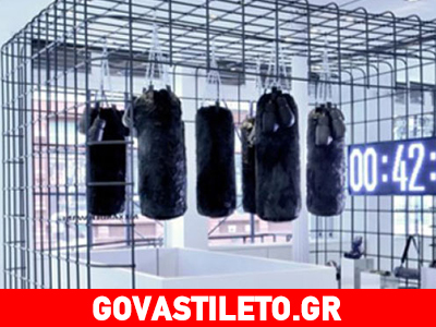 Όταν το μποξ ενέπνευσε τον Alexander Wang