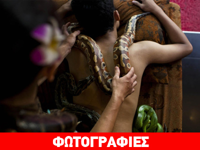Η νέα μόδα: Spa με πύθωνες!