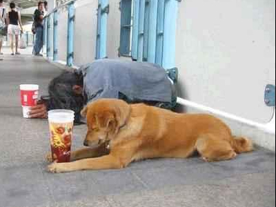 Βοήθεια χριστιανοί…