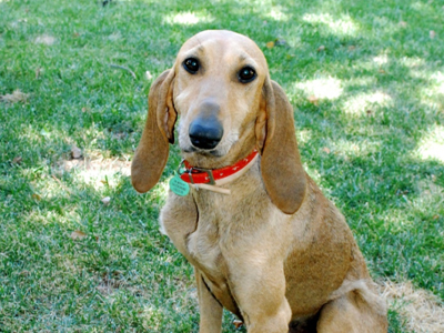 Χάθηκε η Μόνικα