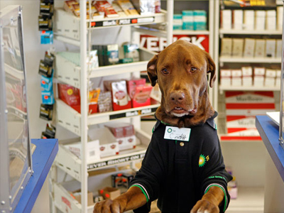 Τετράποδος υπάλληλος…