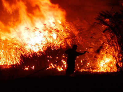 Υπό μερικό έλεγχο η πυρκαγιά στη Μυτιλήνη