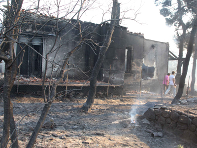 ΤΑ ΝΕΑ ΤΟΥ ΜΠΙ-ΚΟΥ-ΤΙ