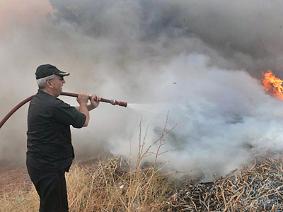 Υπό πλήρη έλεγχο η πυρκαγιά στην Ανθούσα