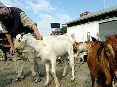 Τρέχει και δεν φτάνει η κυβέρνηση του Νεπάλ…