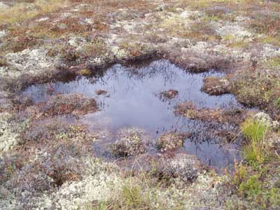 Δυσαρέσκεια για το σχέδιο αντιμετώπισης των κλιματικών αλλαγών