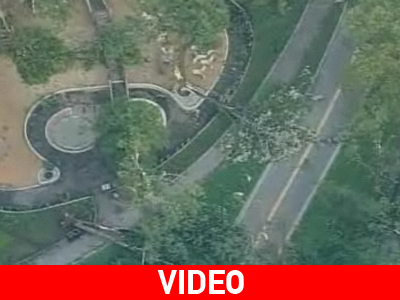 100 δέντρα ξεριζώθηκαν στο Central Park της Νέας Υόρκης