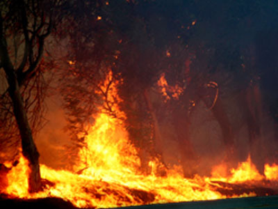 Μαίνονται οι πυρκαγιές της Πορτογαλίας
