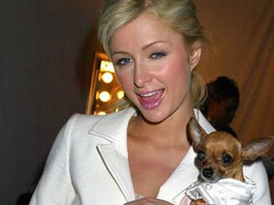 Ο κόσμος καίγεται και η Paris…