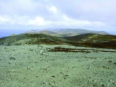 Ύστατη προσπάθεια για τη σωτηρία της πανίδας του Μακουάρι