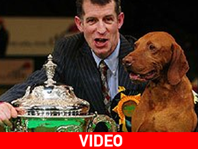 Ο Yogi κέρδισε το βραβείο Crufts