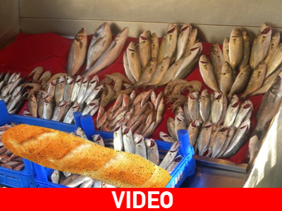 Ιερέας θα μοιράσει 1,5 τόνο ψάρια