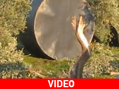 Ανεμοστρόβιλος έπληξε τα Βράσταμα Χαλκιδικής Ανεμοστρόβιλος έπληξε τα Βράσταμα Χαλκιδικής