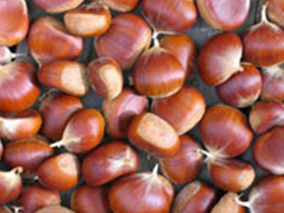Kατασχέθηκαν 26 τόνοι με κάστανα… made in China
