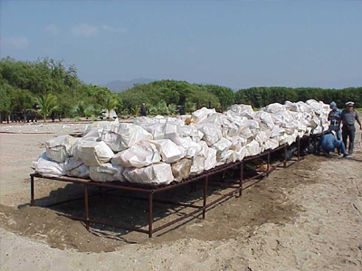 Ιστορική μείωση της παραγωγής κοκαΐνης στην Κολομβία