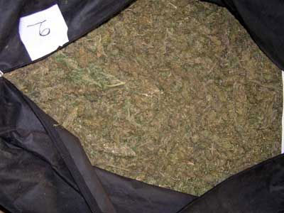 Συλλήψεις για κατοχή και εμπορία ναρκωτικών