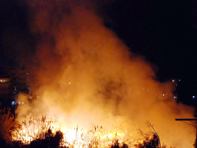 Υπό έλεγχο η πυρκαγιά στην Καβάλα